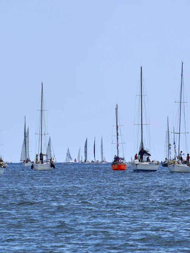 croisiere-bateau-voilier-baie-de-la-foret-galeron.jpg