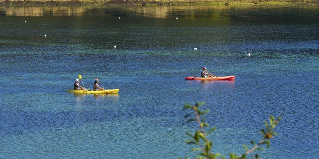 OLYMPUS DIGITALKAMERA