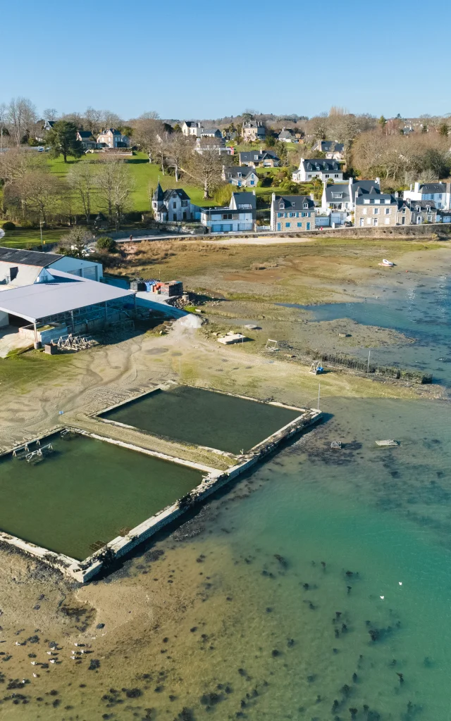 Viviers De La Foret Winter Old Port Shellfish Poriel 2