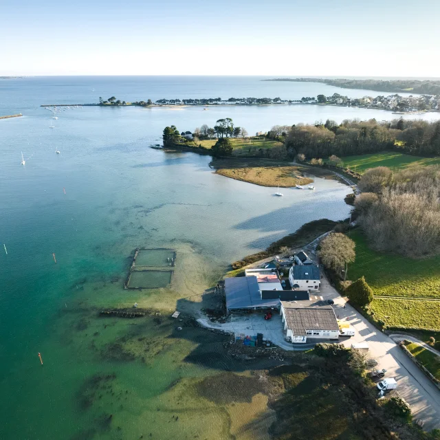 Viviers De La Foret Hiver Vieux Port Coquillage Crustace Poriel 3