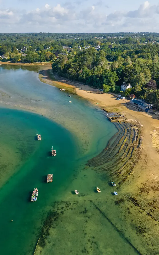 Een foto van een luchtfoto van een baai bij eb: turquoise en groen water, grote stukken open zand, verschillende bootjes op het water en aan de rand een bebost gebied met een paar gebouwen. De lijnen van boogstructuren op de vooroever, zoals schelpdiervijvers, zijn te zien in de buurt van de kust.