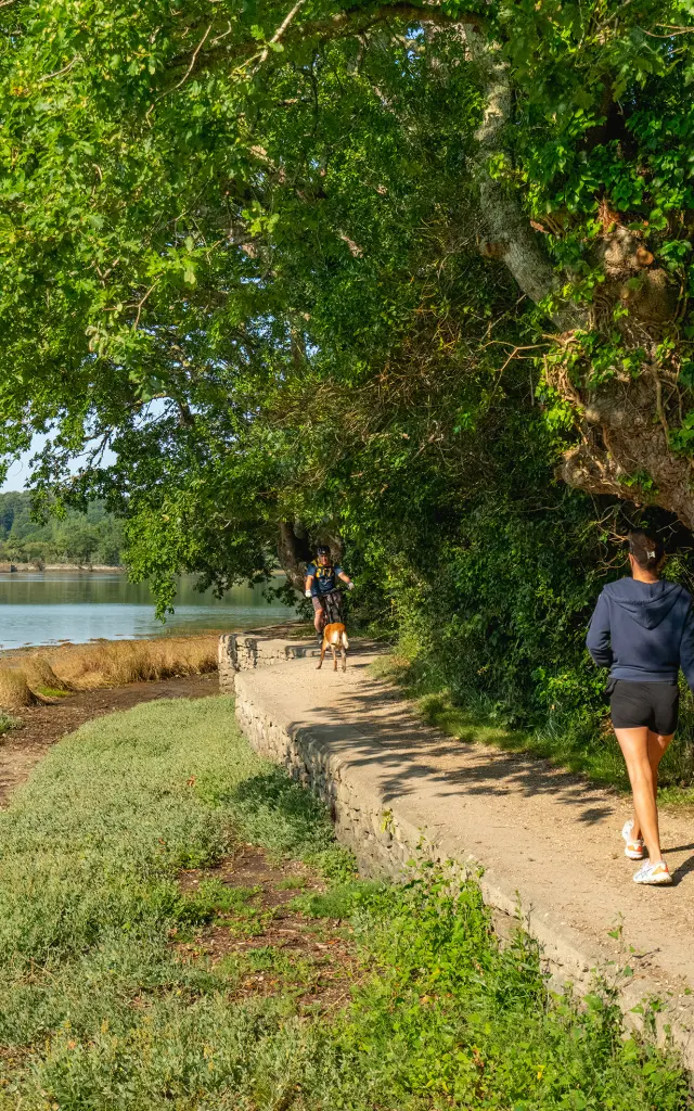 une photo de paysage à gauche et des champs d’informations à droite. La photo montre un sentier en bord d’eau, avec une grande berge et une étendue d’eau à gauche, des herbes hautes, et un grand arbre au feuillage dense qui surplombe le chemin. Une personne marche sur le sentier (vue de dos) et d’autres personnes sont plus loin sur le chemin. Ciel bleu et lumière ensoleillée.