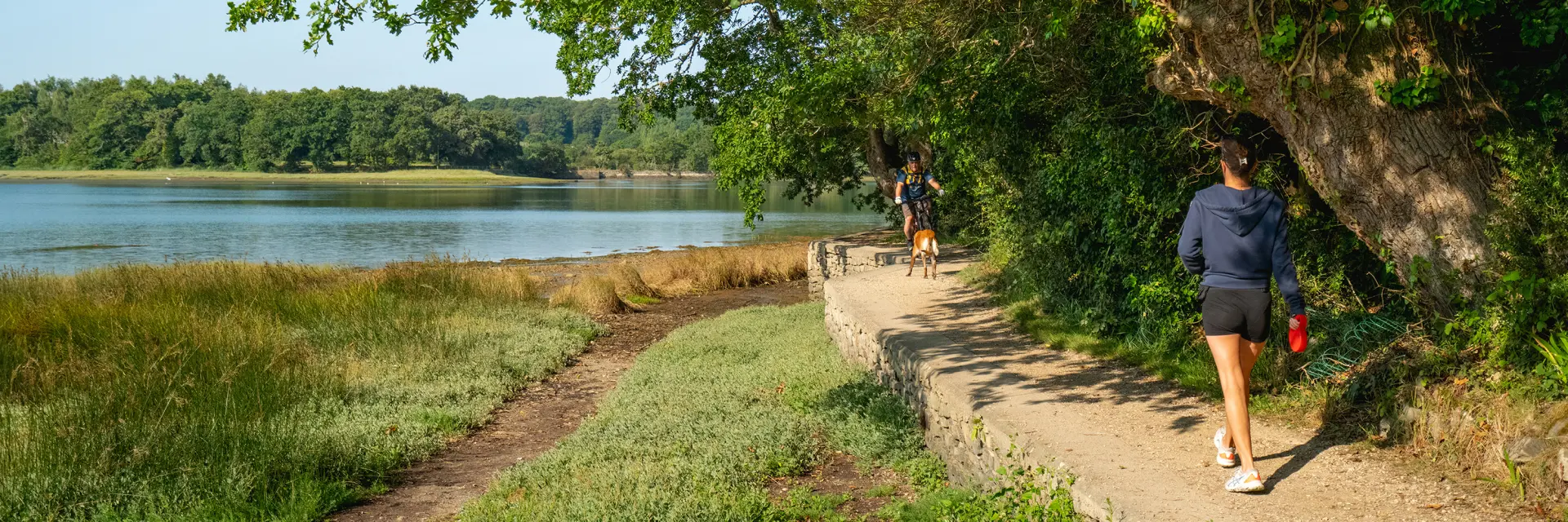 ein Landschaftsfoto auf der linken Seite und Informationsfelder auf der rechten Seite. Das Foto zeigt einen Pfad am Wasser, mit einem großen Ufer und einer Wasserfläche links, hohem Gras und einem großen Baum mit dichtem Laub, der den Pfad überragt. Eine Person geht auf dem Pfad (von hinten gesehen) und andere Personen sind weiter hinten auf dem Weg. Blauer Himmel und sonniges Licht.