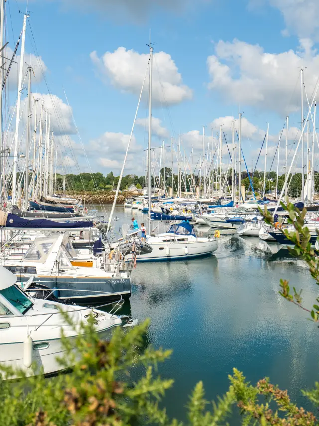 une photo au centre-gauche montrant un port rempli de voiliers et de bateaux à moteur, beaucoup de mâts, de l’eau calme, un ciel bleu avec des nuages, et de la végétation verte au premier plan.