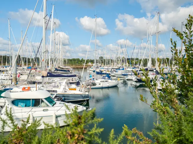une photo au centre-gauche montrant un port rempli de voiliers et de bateaux à moteur, beaucoup de mâts, de l’eau calme, un ciel bleu avec des nuages, et de la végétation verte au premier plan.