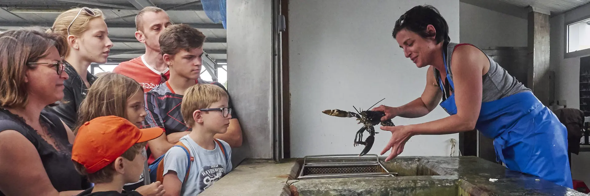Das Foto zeigt eine Szene im Inneren eines Gebäudes vom Typ Fischteich/Werkstatt. Mehrere Personen (Erwachsene und Kinder) sind auf der linken Seite versammelt und beobachten eine Frau, die sich über große, rechteckige, mit Wasser gefüllte Betonwannen beugt. Die Frau trägt eine blaue Schürze und hält ein Krustentier (Typ Hummer/Languste) über einen Bottich. Die Becken sind im Vordergrund aufgereiht, mit unruhigem Wasser und grünlichen Bereichen an den Wänden (Algen/Moos).