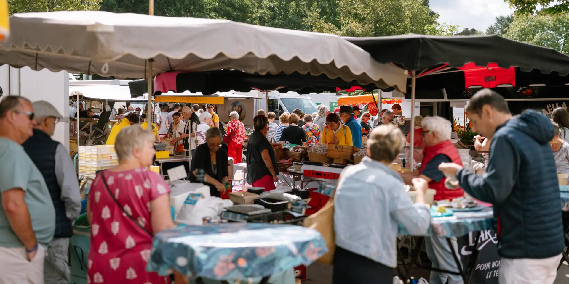 Toeristenbureau - La forêt fouesnant