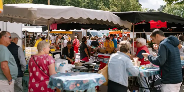 Toeristenbureau - La forêt fouesnant