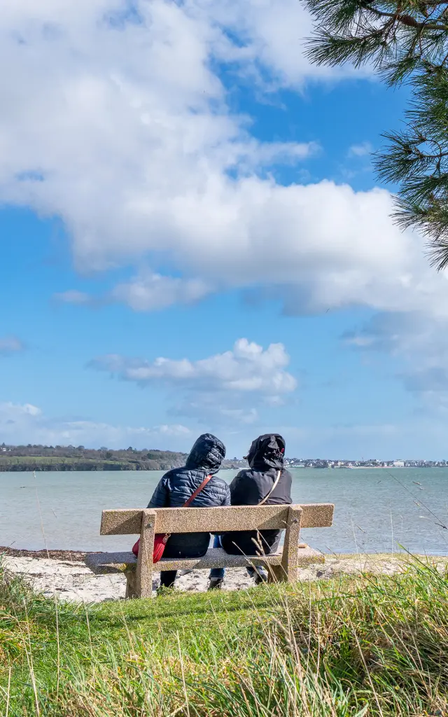 La photo montre un paysage au bord de l’eau: un banc avec deux personnes assises de dos, un grand pin penché vers la droite, de l’herbe au premier plan, et un ciel bleu avec de gros nuages blancs.