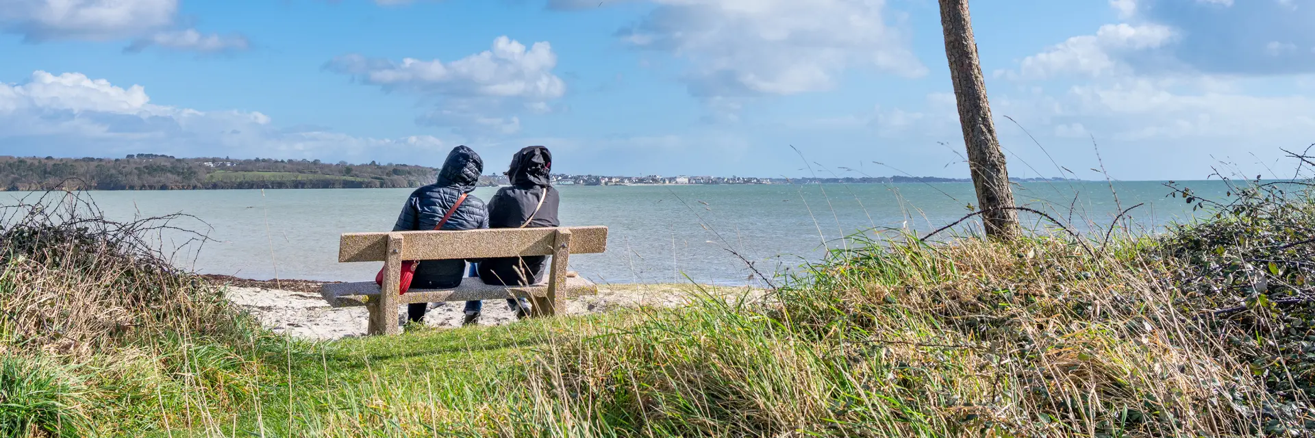 Das Foto zeigt eine Landschaft am Wasser: eine Bank mit zwei Personen, die von hinten sitzen, eine große Kiefer, die sich nach rechts neigt, Gras im Vordergrund und ein blauer Himmel mit großen weißen Wolken.