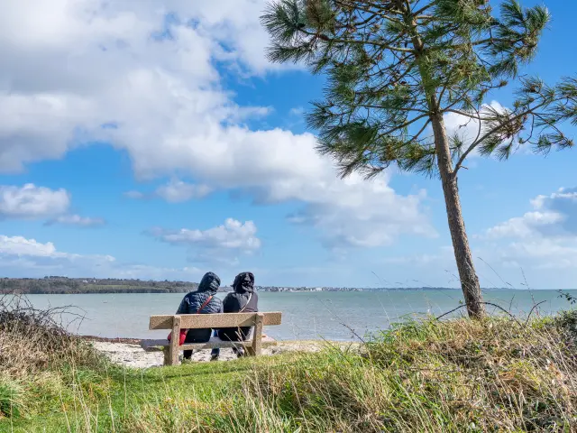Das Foto zeigt eine Landschaft am Wasser: eine Bank mit zwei Personen, die von hinten sitzen, eine große Kiefer, die sich nach rechts neigt, Gras im Vordergrund und ein blauer Himmel mit großen weißen Wolken.