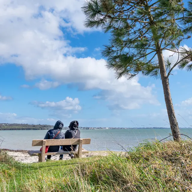 De foto toont een landschap aan het water: een bankje waar twee mensen van achteren op zitten, een hoge den die naar rechts leunt, gras op de voorgrond en een blauwe lucht met grote witte wolken.
