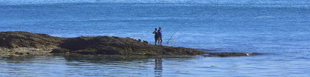 Une grande photo de mer. La photo montre une eau bleue calme, un rocher sombre au premier plan avec deux personnes dessus (l’une tient une canne à pêche), et plusieurs voiliers au large (dont deux voiliers proches, l’un à voile verte et blanche, l’autre à voile bleue). Beaucoup d’autres voiles sont visibles très loin à l’horizon.