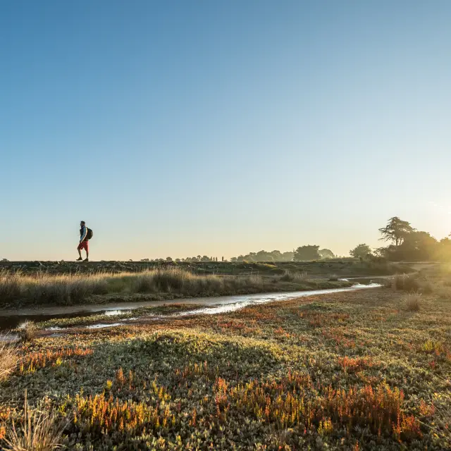 Une photo de paysage au coucher/lever du soleil. La scène montre une zone de marais avec herbes et végétation rase, un petit cours d’eau, et une personne qui marche au loin sur la gauche; le soleil est bas sur l’horizon à droite avec un effet de rayons.