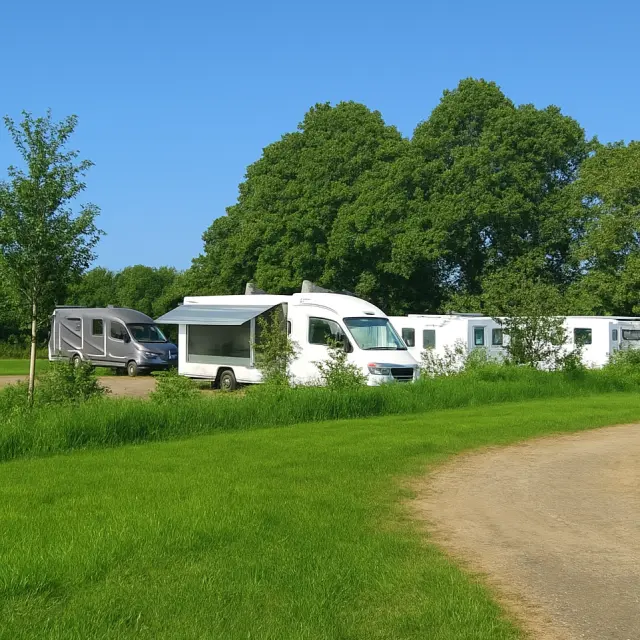 Une photo d’une aire de stationnement en pleine nature. La photo montre une pelouse verte au premier plan, un chemin en terre clair qui part du bas à droite et s’incurve vers le milieu, et plusieurs véhicules de loisirs alignés près d’arbres: un camping-car gris, un camping-car blanc avec store, puis d’autres véhicules blancs derrière. Le ciel est bleu et des arbres feuillus occupent l’arrière-plan.