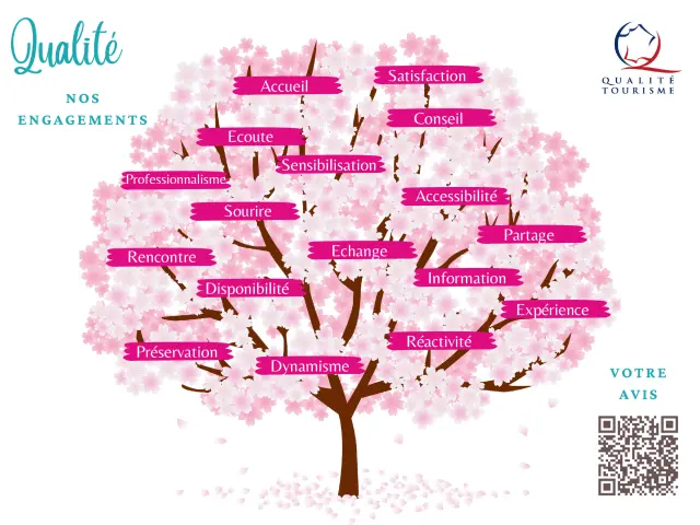 Un dessin d'arbre avec des mots dessus pour symboliser les engagements de l'office de tourisme dans le domaine de la qualité