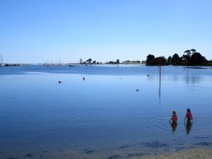 Baignade au vieux port