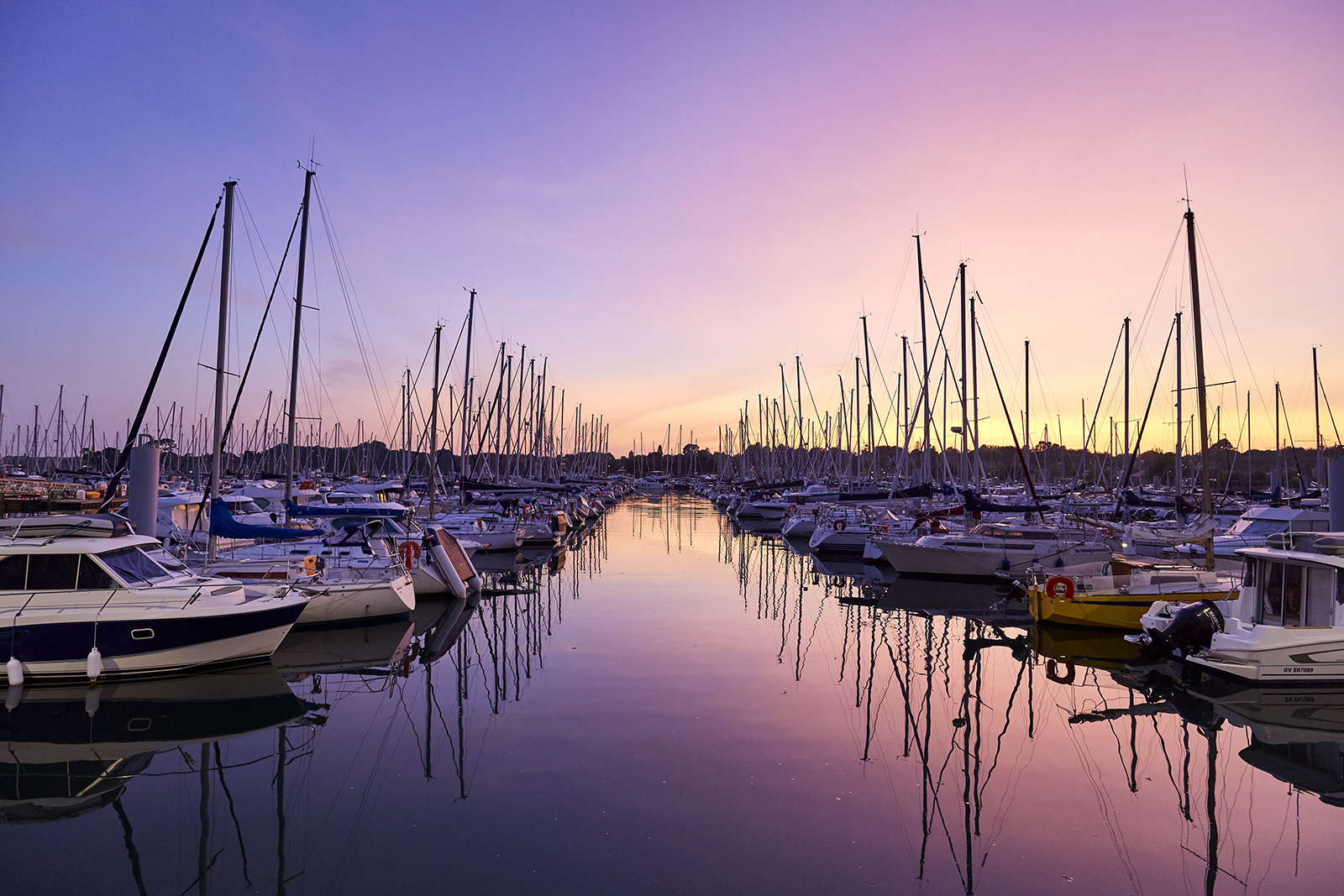 Pink night on the harbor