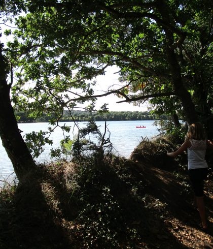 ANSE DE PENFOULIC LA FORET-FOUESNANT OTLFF (25)