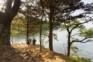 Balade en bord de mer