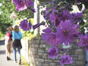 Flower walk