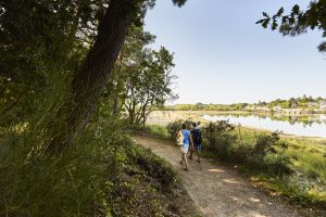 Promenade le long de l'anse de La Forêt