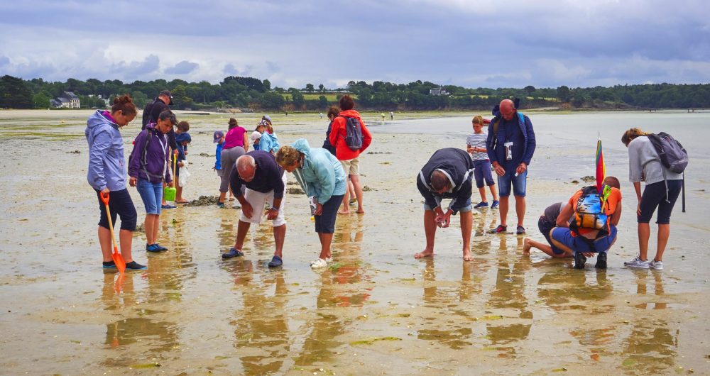 Pêche à pied