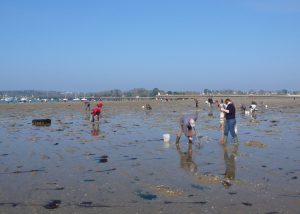 Fishermen on foot on the beach of Kerleven