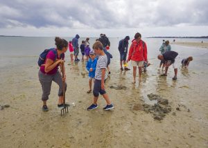 natuuruitje bij hoogwater