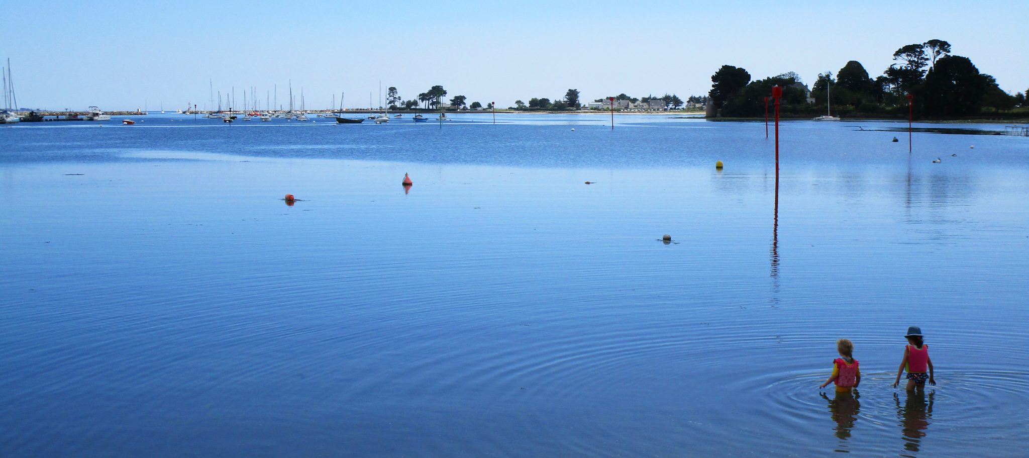 Baignade au vieux port