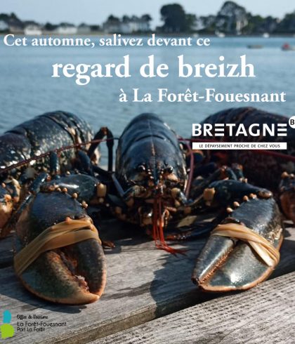 REGARD DE BREIZH