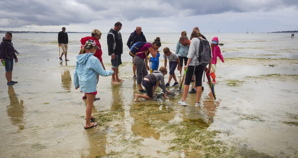 Pêche à pied