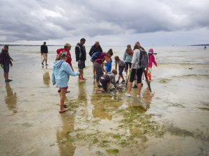 Pêche à pied