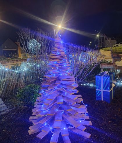 Décorations – sapin de Noël