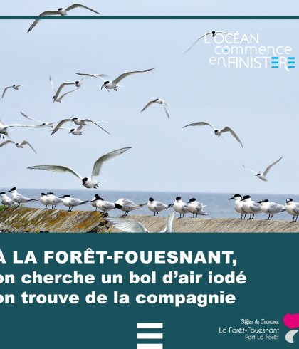 L’Océan commence en Finistère