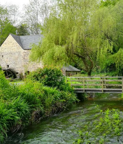 Moulin Chef du Bois