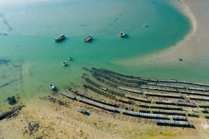 Les parcs à coquillages vus du ciel