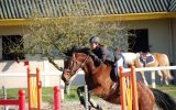 Lanveron Pony Club