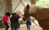 Lanvéron Pony Club