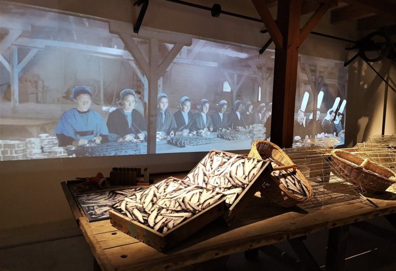 Musée de la Conserverie Le Gall – Loctudy – Pays Bigouden – Bigoudenjoy