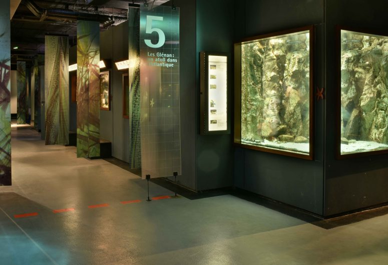 Marinarium – Aquarium à Concarneau – Aquariums Finistère Sud, Bretagne