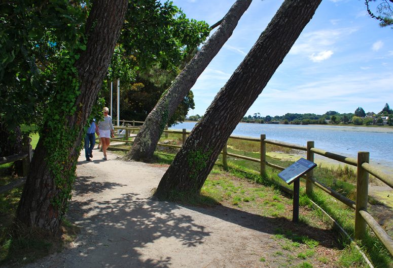 Interpretation panel – Anse de La Forêt