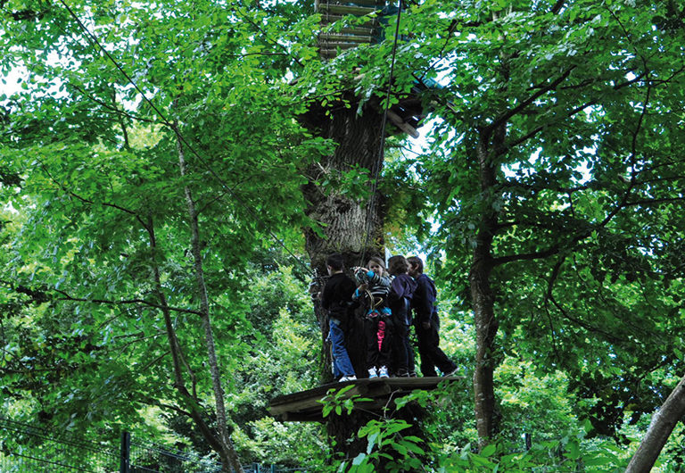 Bonobo Parc