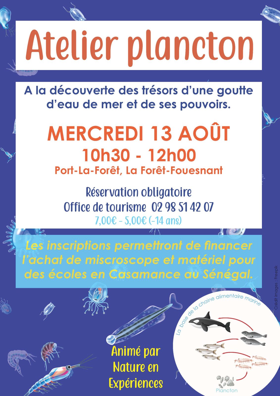 Atelier plancton 13.08.25