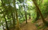 Sentier côtier