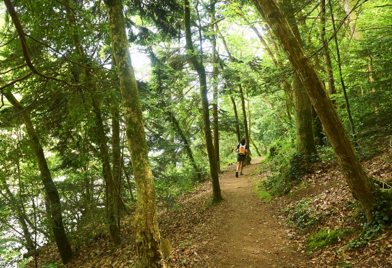 Sentier côtier
