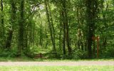 Bois de Pleuven