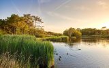 Marais de mousterlin