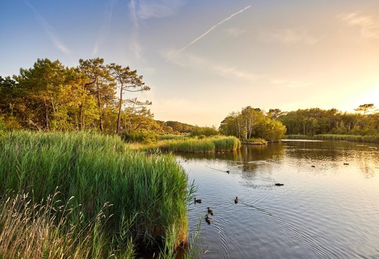 Marais de mousterlin