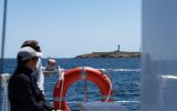 SAILCOOP – île des Glénan – Croisières de Concarneau à Pont-Aven 4